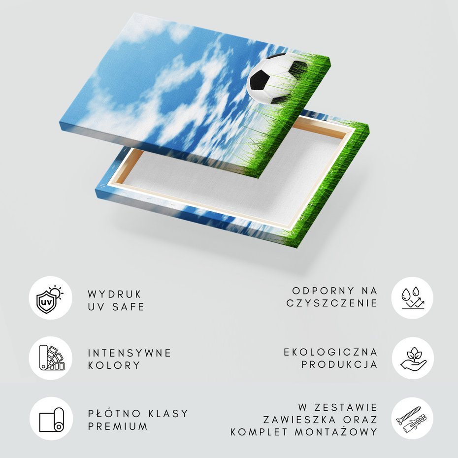 Obraz na płótnie - piłka, nożna, trawa