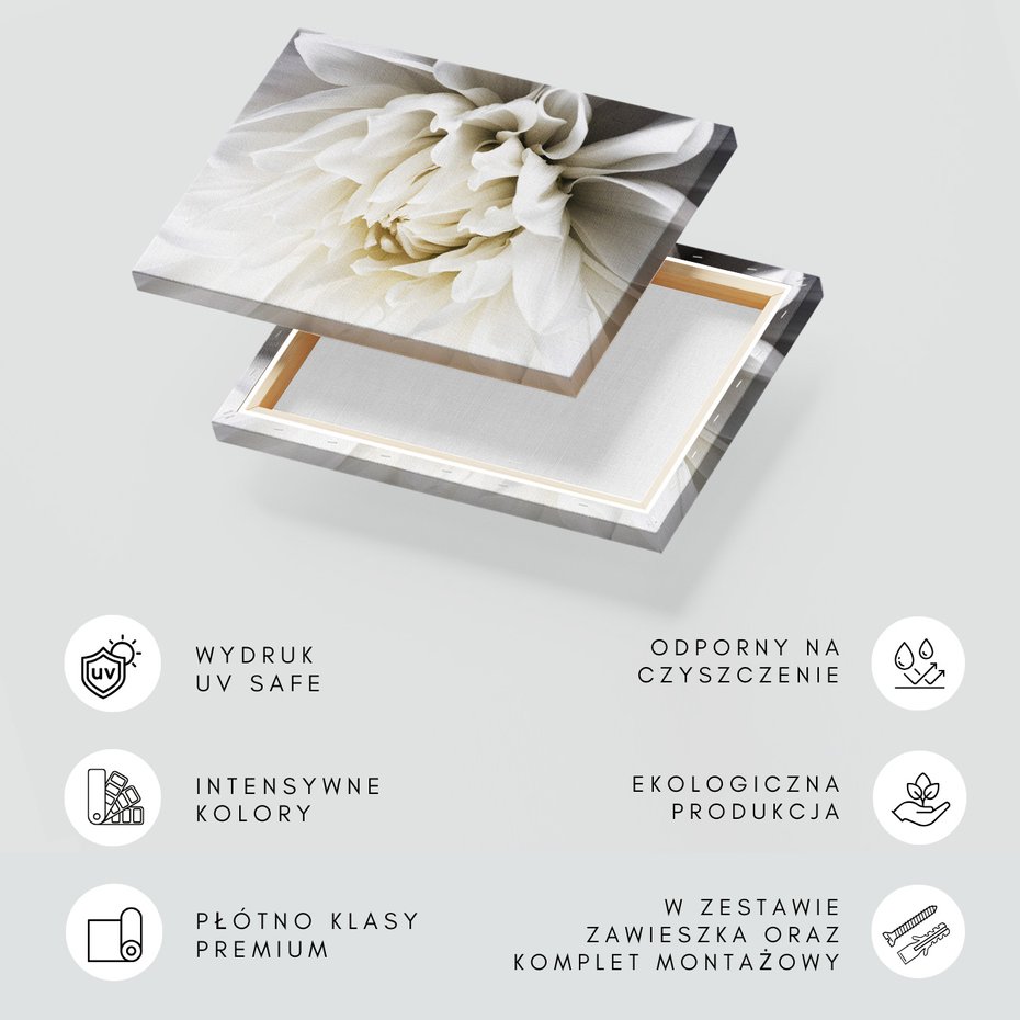 Obraz na płótnie - kwiat, płatki, biały