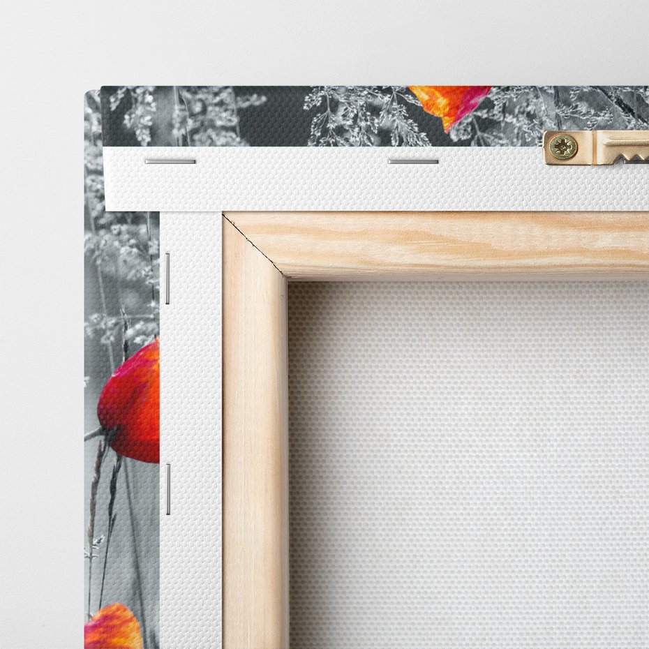 Obraz na płótnie - maki, kwiaty, natura