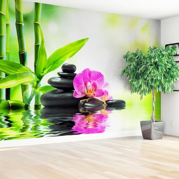 Fototapeta - orchidea, kamienie, bambus