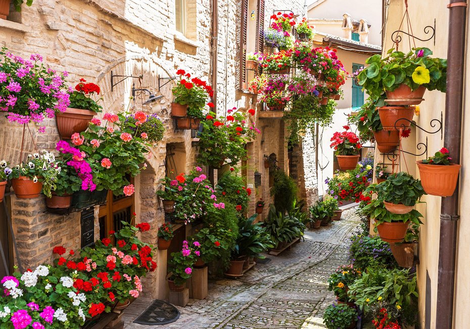 Fototapeta - uliczka, kwiaty, doniczki