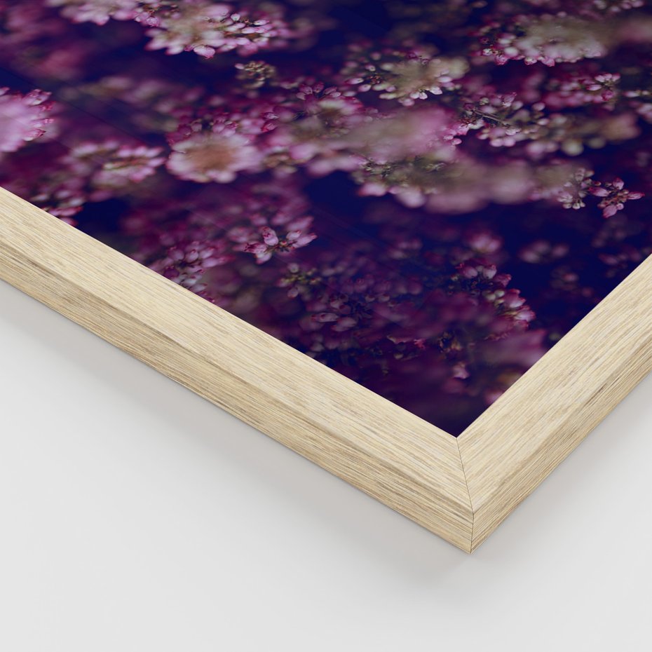 Zestaw obrazy w ramie, plakaty - lawenda, pole, kwiaty - rama drewno