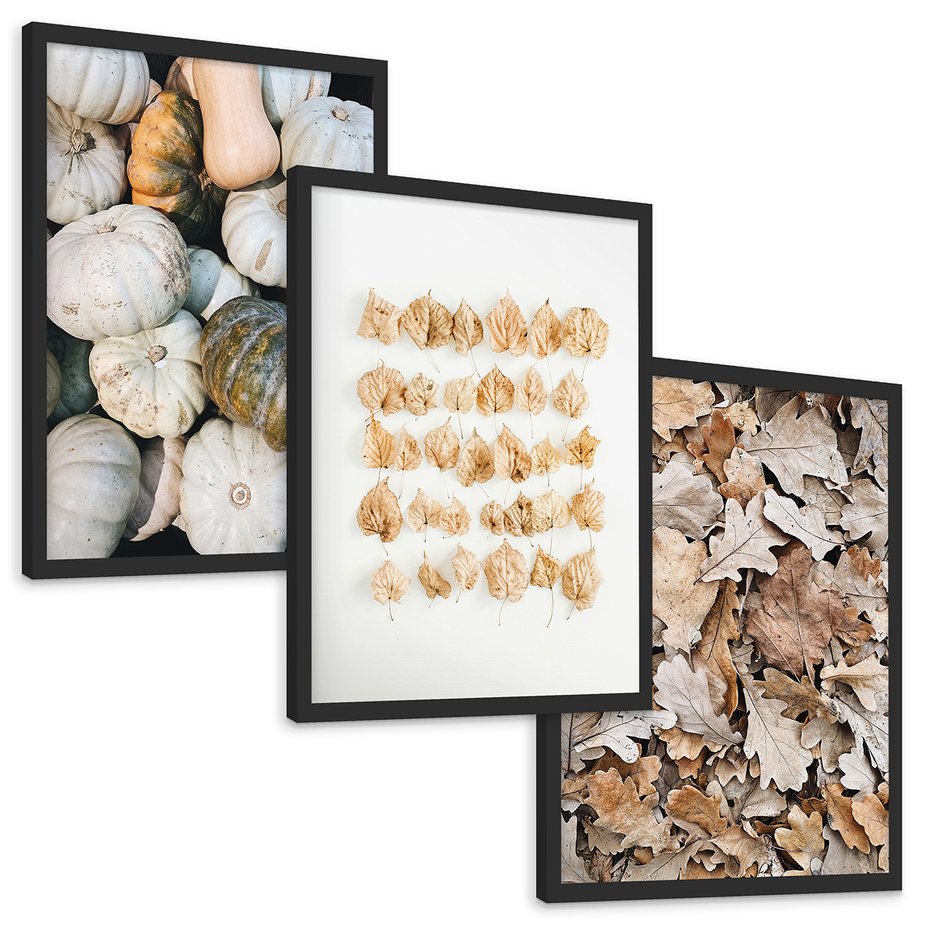Zestaw obrazy w ramie, plakaty - dynie, liście, jesień - rama czarna