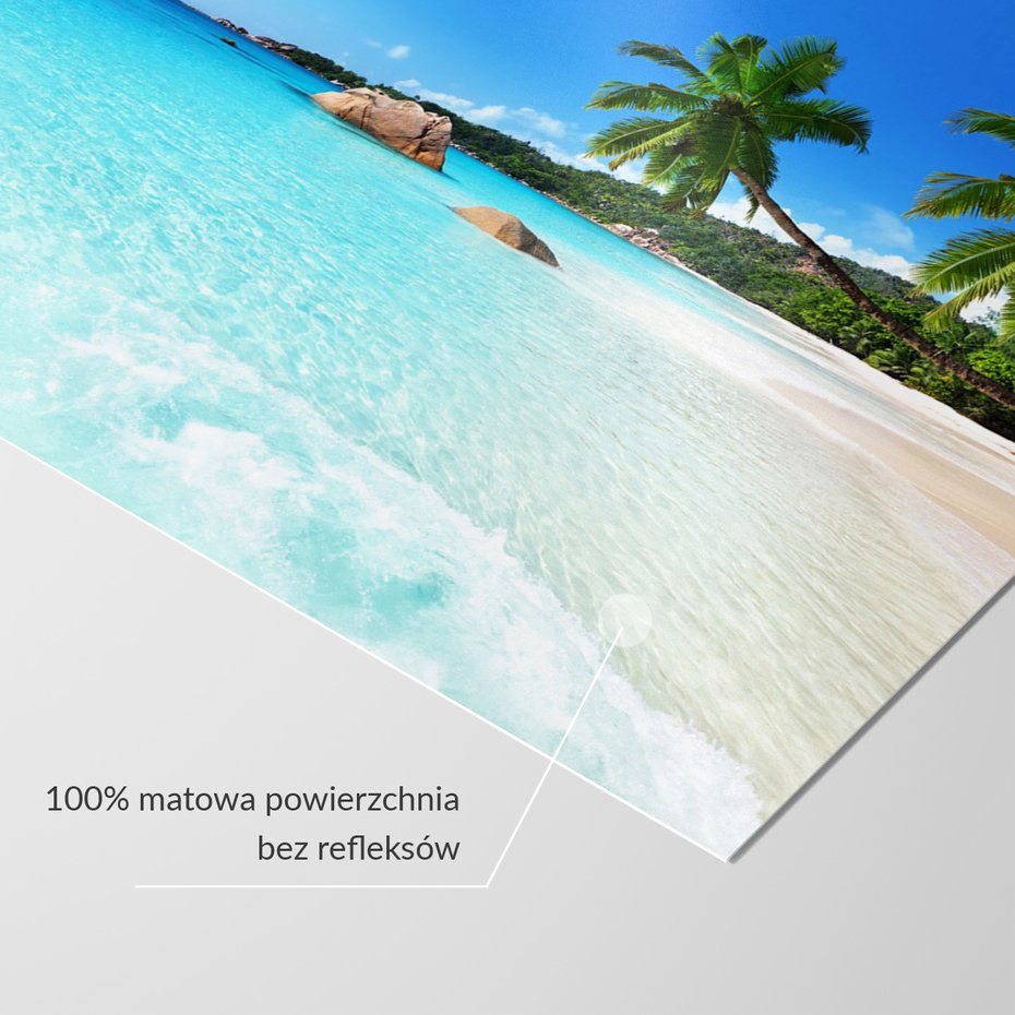 Fototapeta - plaża, morze, palmy