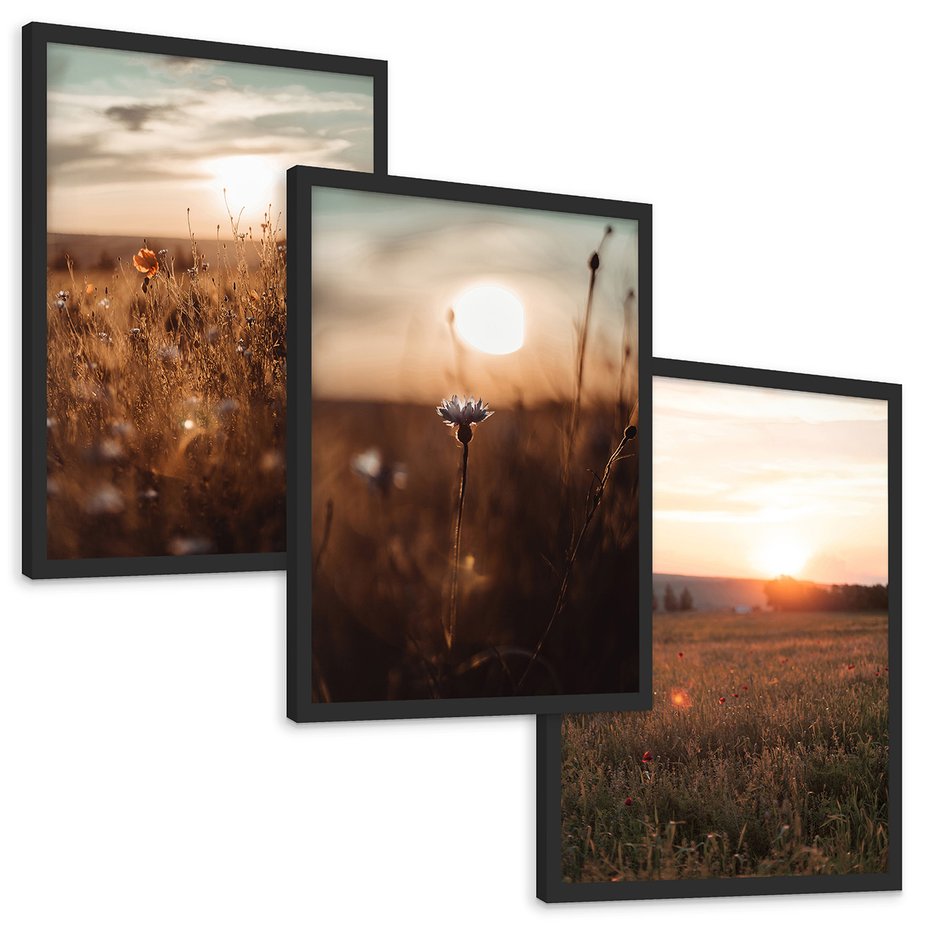 Zestaw obrazy w ramie, plakaty - pole, kwiaty, słońce - rama czarna