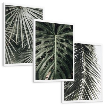 Zestaw obrazy w ramie, plakaty - liście, palmy, tropikalne - rama biała