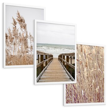 Zestaw obrazy w ramie, plakaty - trzcina, plaża, morze - rama biała