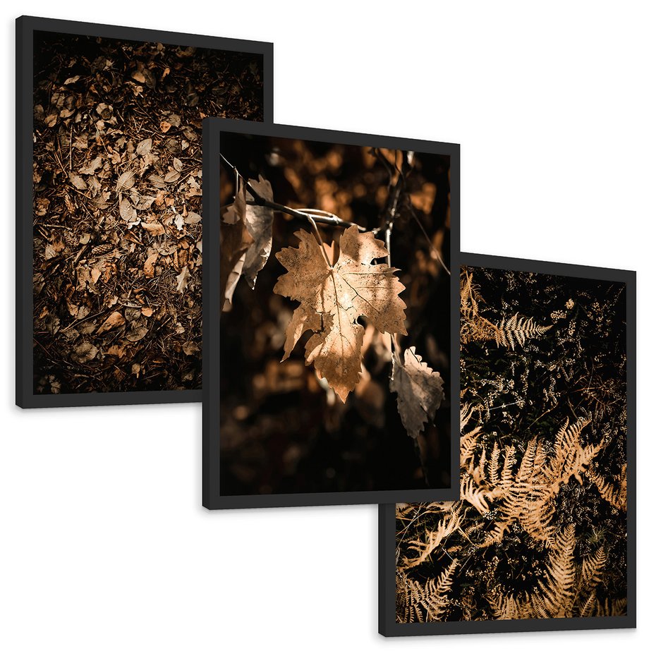 Zestaw obrazy w ramie, plakaty - liście, jesień, brązowy - rama czarna
