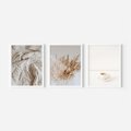 Zestaw obrazy w ramie, plakaty - beżowy, kawa, trawa - rama biała