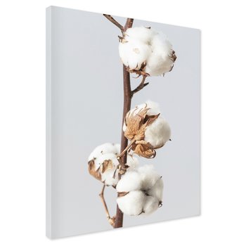 Obraz na płótnie - bawełna, roślina, biel