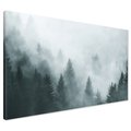 Obraz na płótnie - las, mgła, drzewa