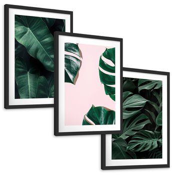 Zestaw obrazy w ramie, plakaty - liście, monstera, rośliny - rama czarna