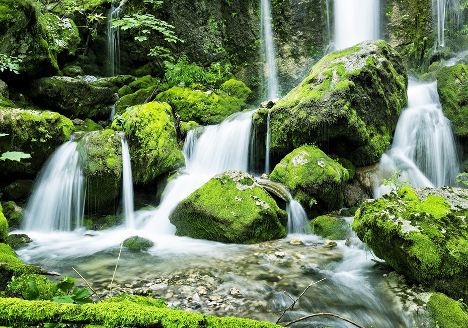 Fototapeta - wodospad, mech, natura
