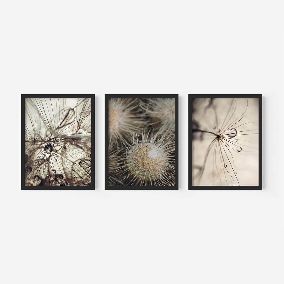Zestaw obrazy w ramie, plakaty - makro, natura, roślina - rama czarna