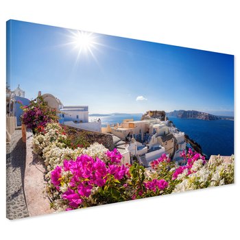 Obraz na płótnie - Santorini, Grecja, kwiaty