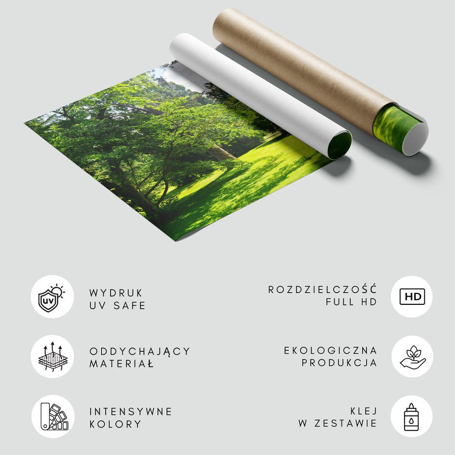 Fototapeta - las, trawa, drzewa