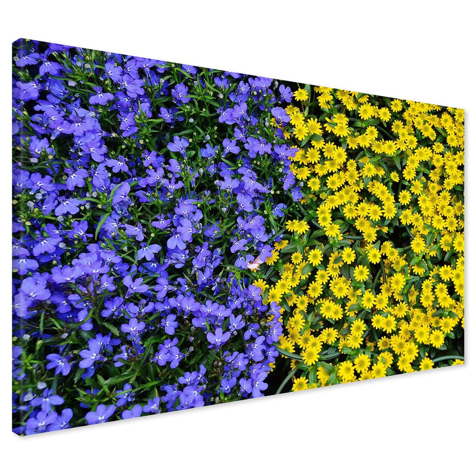 Obraz na płótnie - kwiaty, rośliny, natura