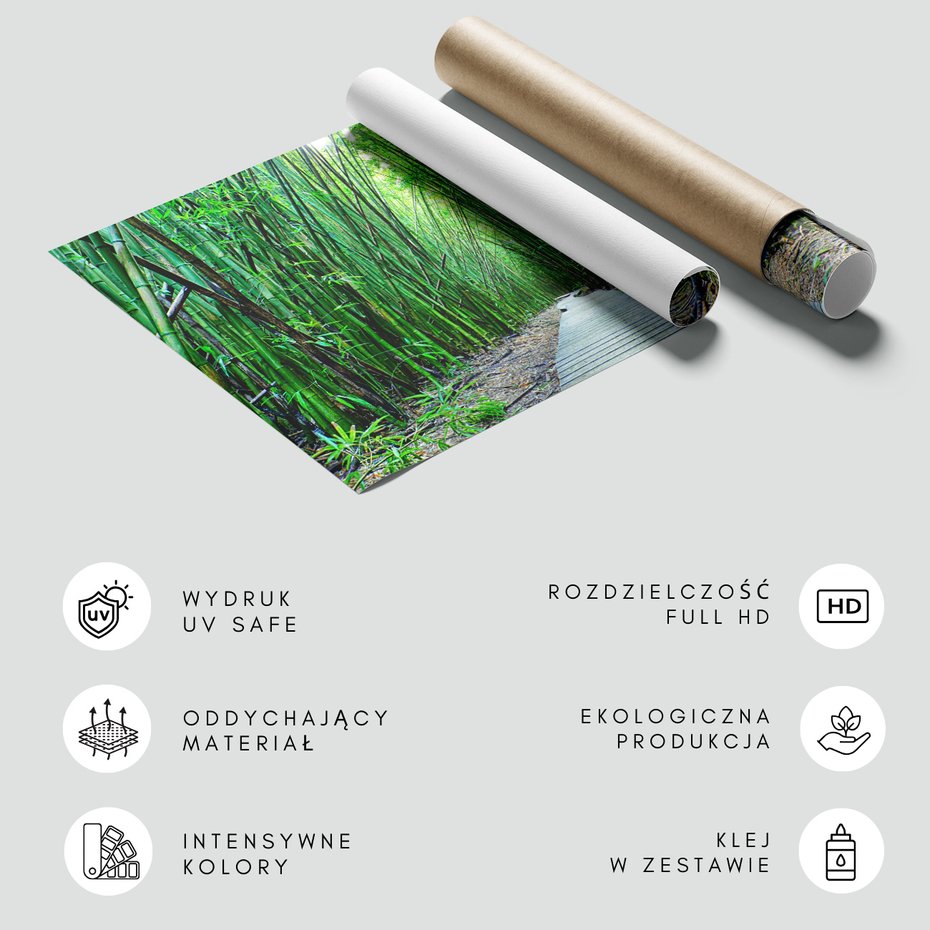 Fototapeta - bambus, las, ścieżka