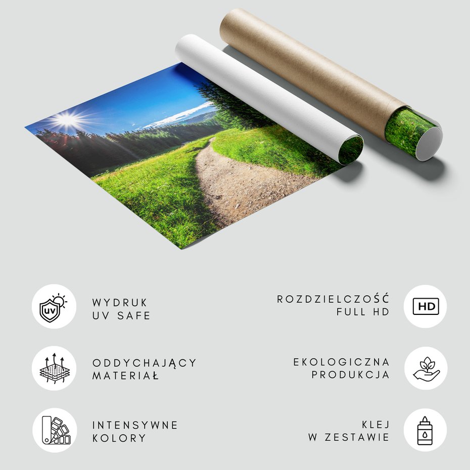 Fototapeta - krajobraz, las, ścieżka