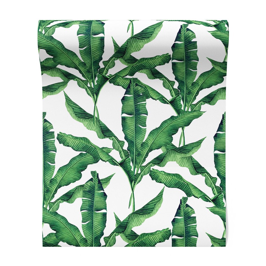 Tapeta - liście, rośliny, natura