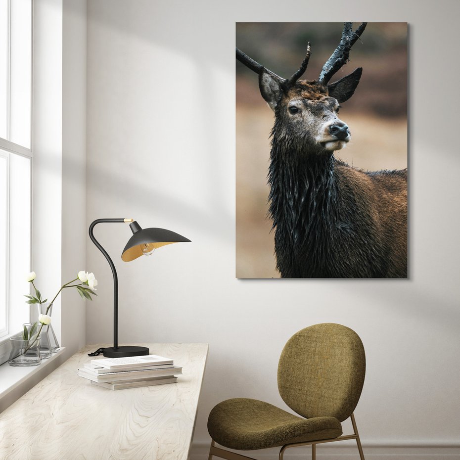 Obraz na płótnie - jeleń, zwierzę, natura