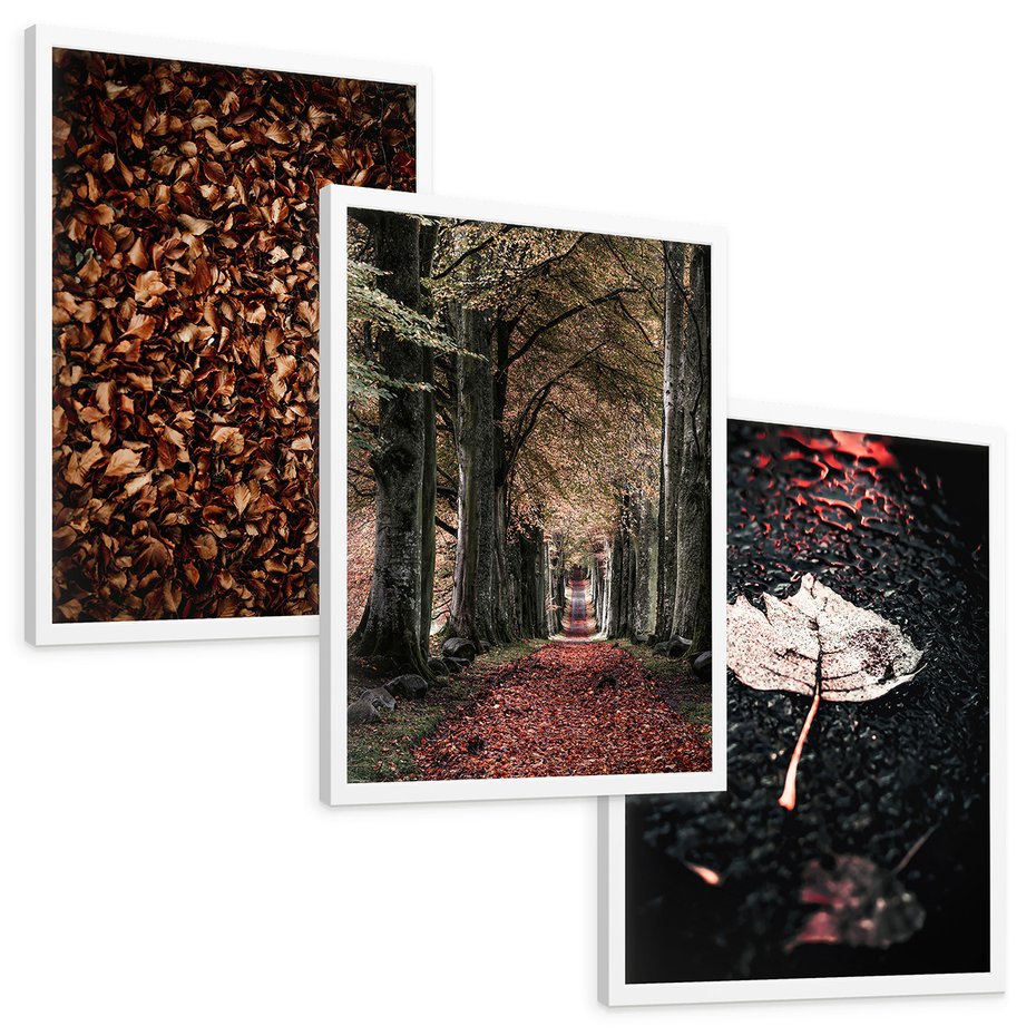 Zestaw obrazy w ramie, plakaty - liście, drzewa, jesień - rama biała