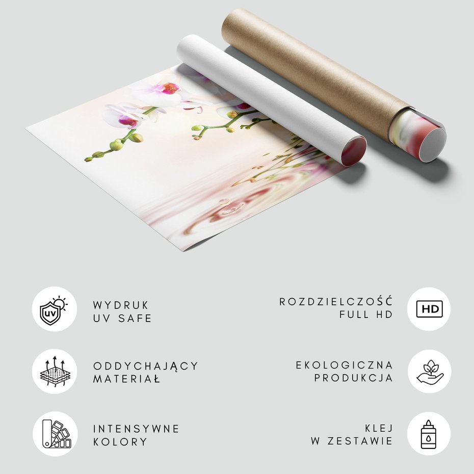 Fototapeta - orchidee, kwiaty, woda