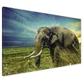 Obraz na płótnie - słoń, trawa, natura