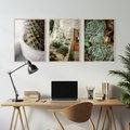 Zestaw obrazy w ramie, plakaty - kaktus, sukulenty, rośliny - rama drewno
