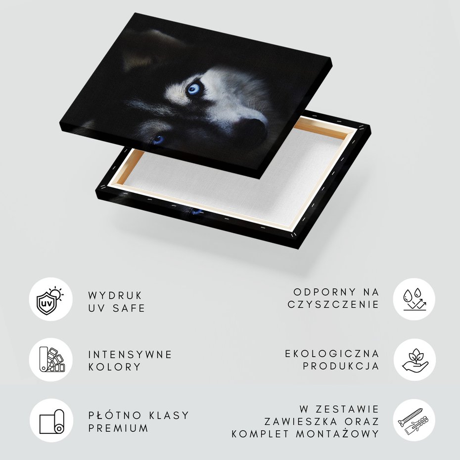 Obraz na płótnie - pies, husky, portret