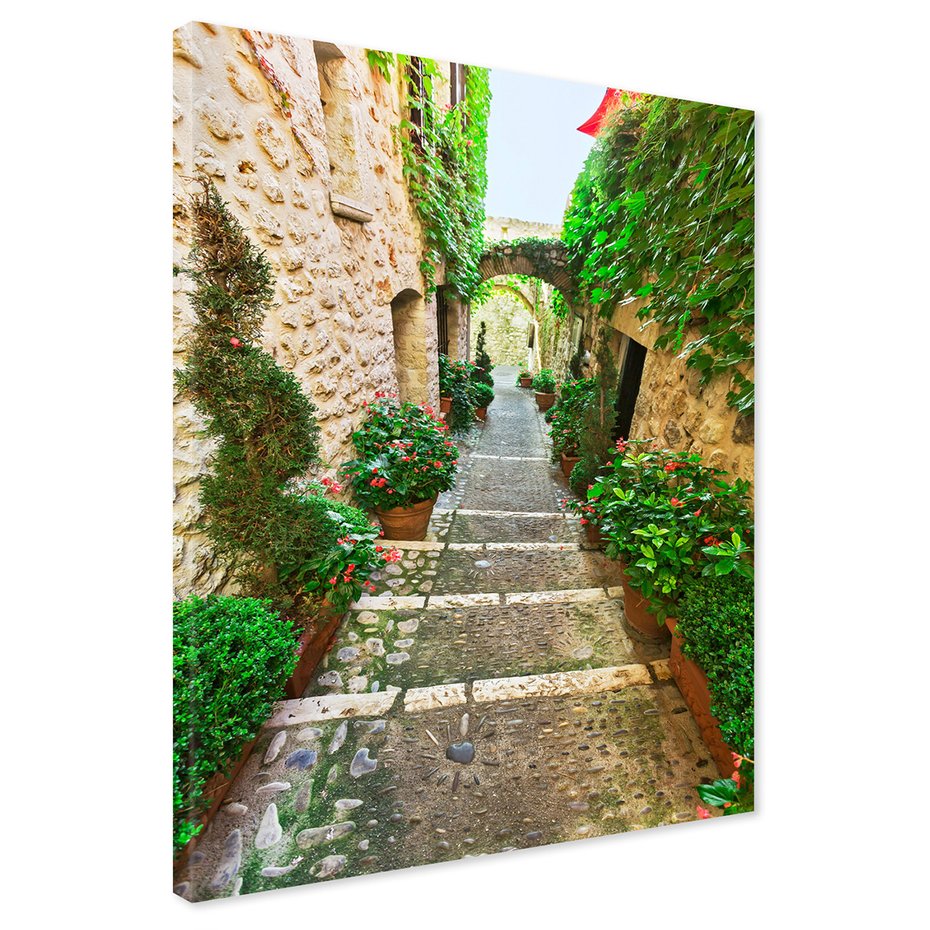 Obraz na płótnie - uliczka, kwiaty, roślinność