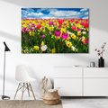 Obraz na płótnie - kwiaty, tulipany, wiosna