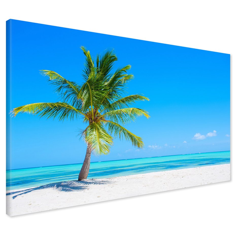 Obraz na płótnie - palma, plaża, morze