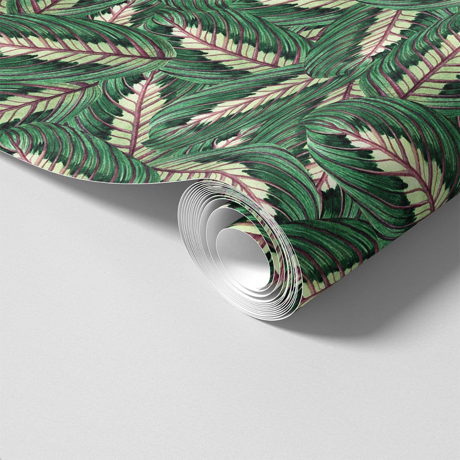 Tapeta - liście, natura, rośliny