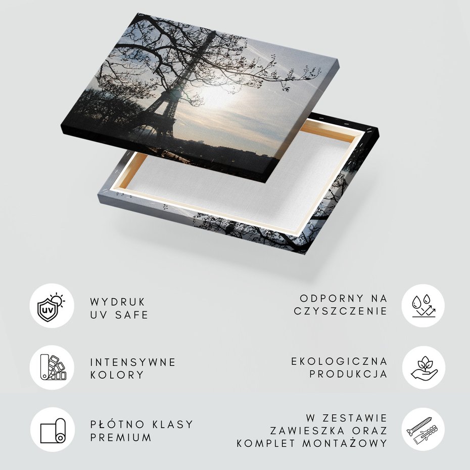 Obraz na płótnie - Paryż, wieża Eiffla, miasto