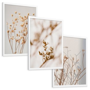 Zestaw obrazy w ramie, plakaty - kwiaty,rośliny,suszone, - rama biała