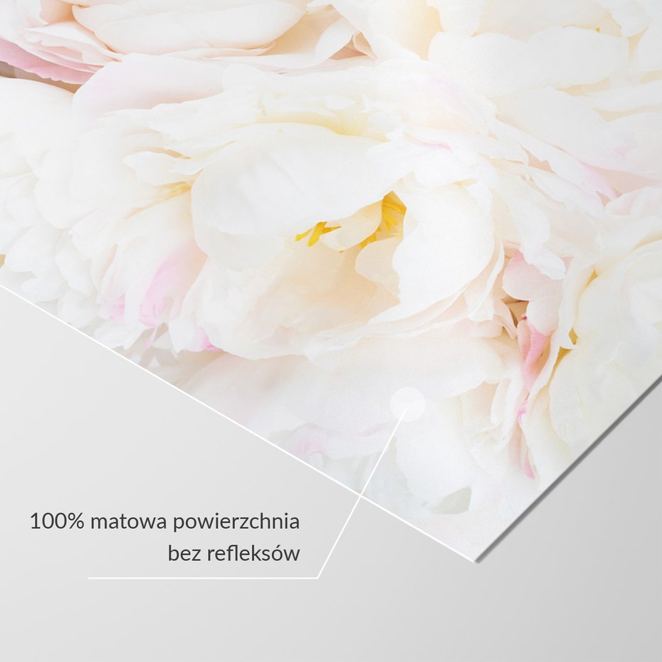 Fototapeta - kwiaty, białe, płatki