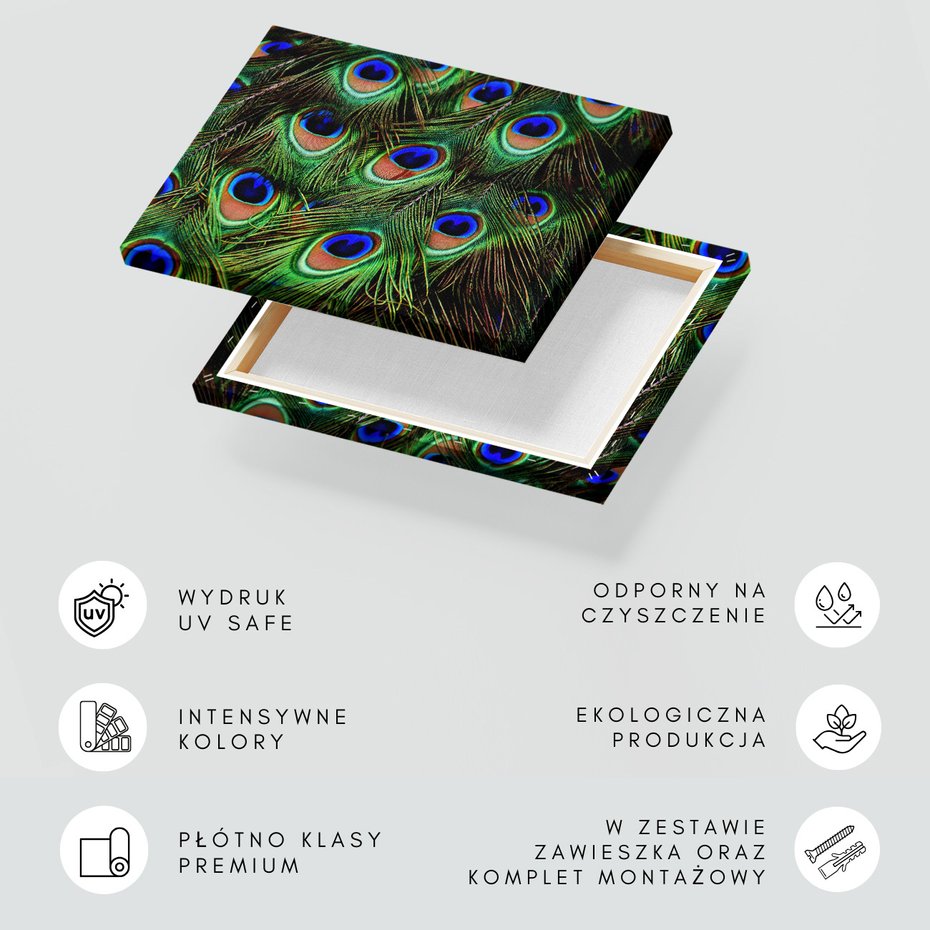 Obraz na płótnie - pawie pióra, pióra, abstrakcja