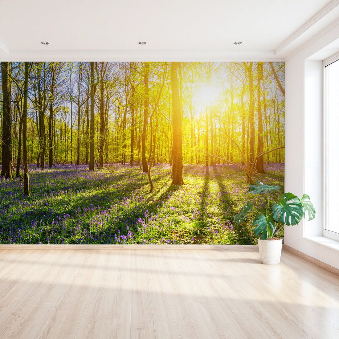 Fototapeta - las, kwiaty, słońce