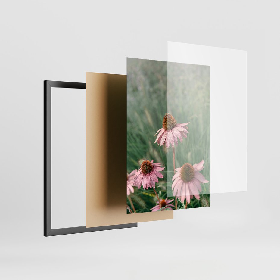 Zestaw obrazy w ramie, plakaty - kwiaty, trawa, rośliny - rama czarna