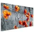 Obraz na płótnie - maki, kwiaty, natura