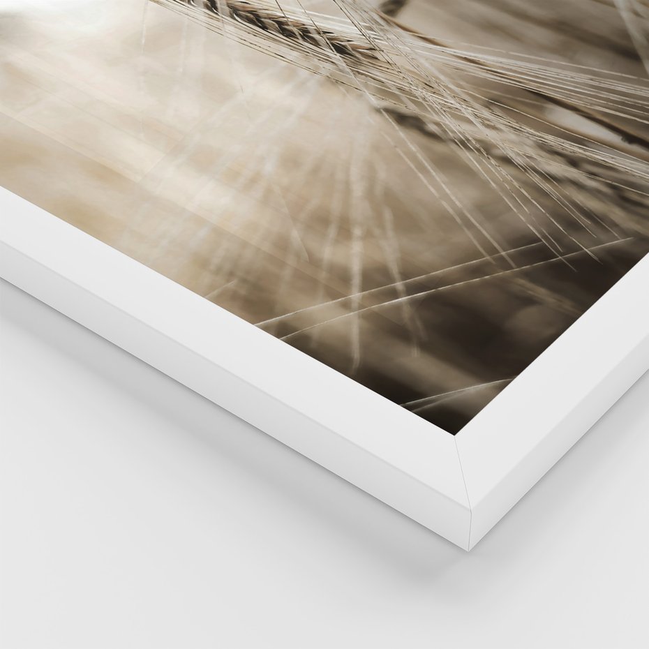 Zestaw obrazy w ramie, plakaty - pole, wieś, żniwa - rama biała