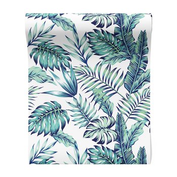 Tapeta - liście, rośliny, monstera