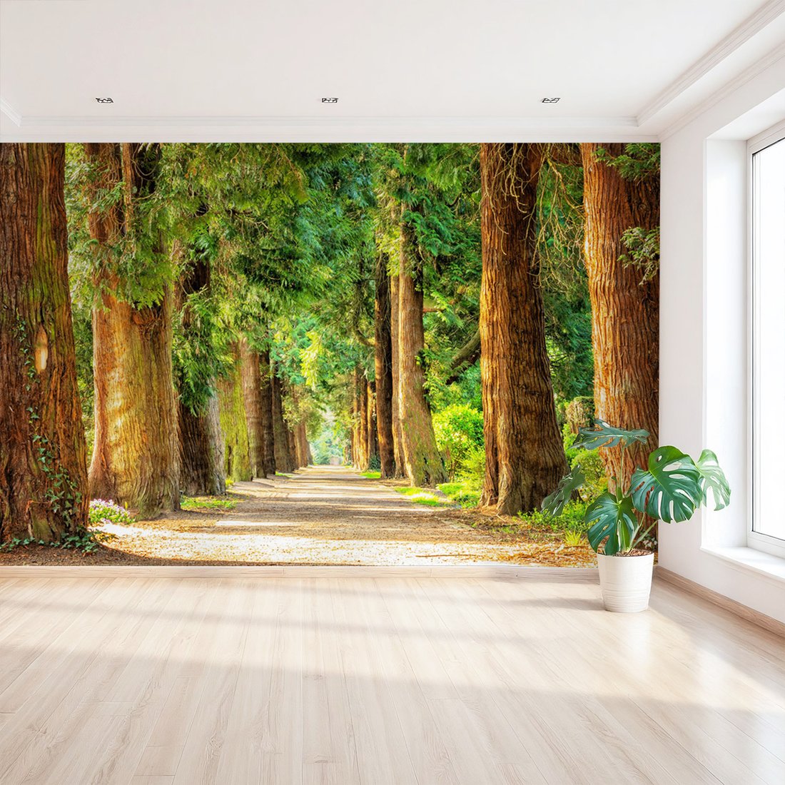 Fototapeta - las, aleja, drzewa