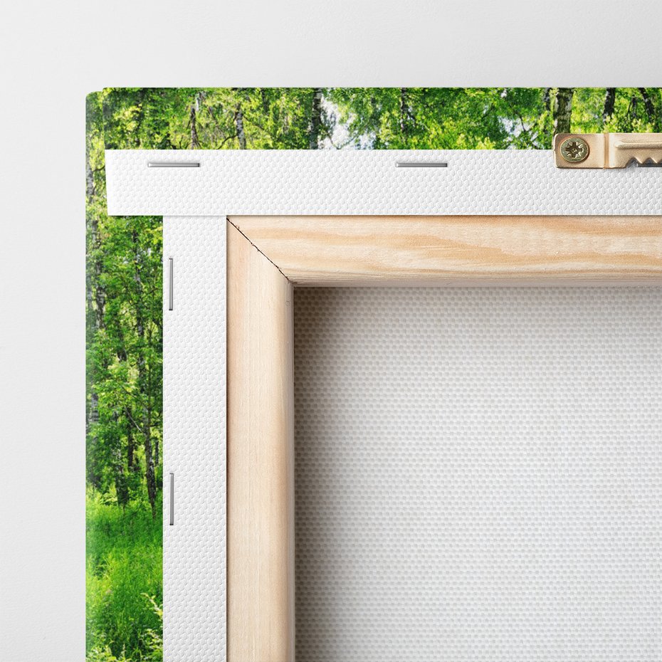 Obraz na płótnie - las, ścieżka, natura