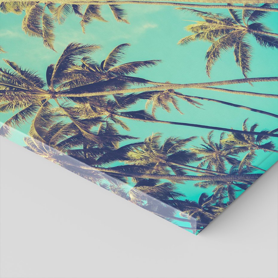 Obraz na płótnie - palmy, niebo, tropiki
