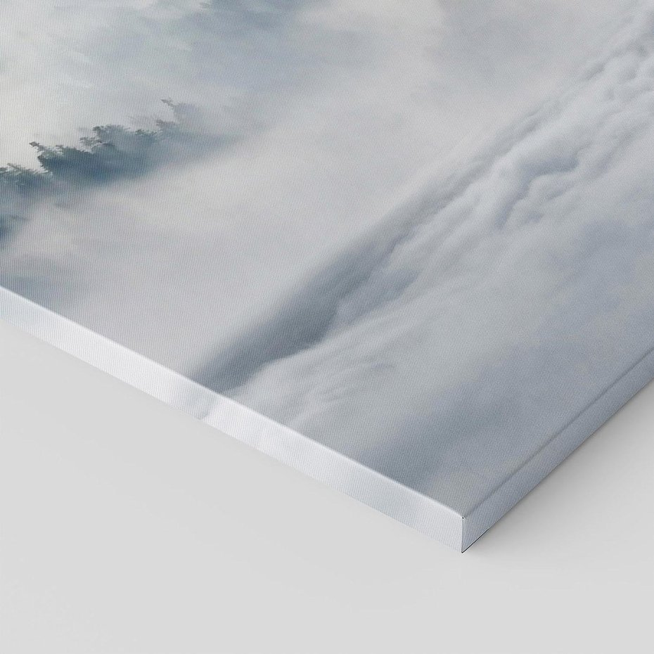 Obraz na płótnie - wilki, mgła, lasy