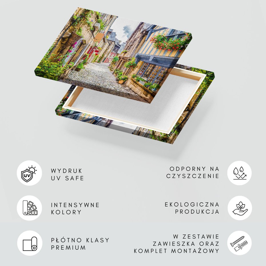 Obraz na płótnie - uliczka, kwiaty, budynki