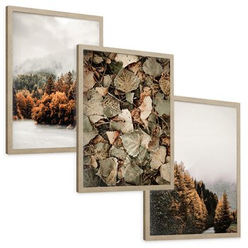 Zestaw obrazy w ramie, plakaty - jesień, las, liście - rama drewno