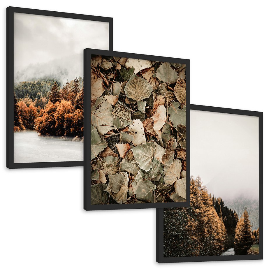Zestaw obrazy w ramie, plakaty - jesień, las, liście - rama czarna